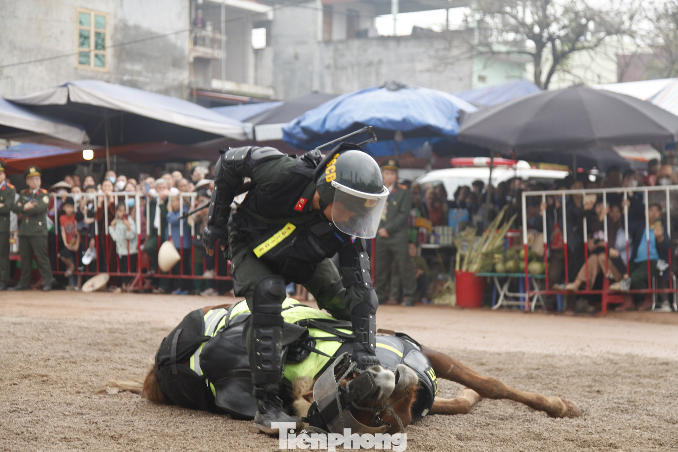 Kỹ thuật điều khiển ngựa nằm. Đây là kỹ thuật khó, thể hiện sự phối hợp nhịp nhàng giữa cán bộ chiến sỹ và ngựa nghiệp vụ. Nội dung huấn luyện này được áp dụng vào quá trình thực tiễn chiến đấu, lực lượng Kỵ binh triển khai đội hình, điều khiển ngựa nằm, phục kích, đánh bắt đối tượng trên các địa bàn rừng núi, có ít vật che khuất.