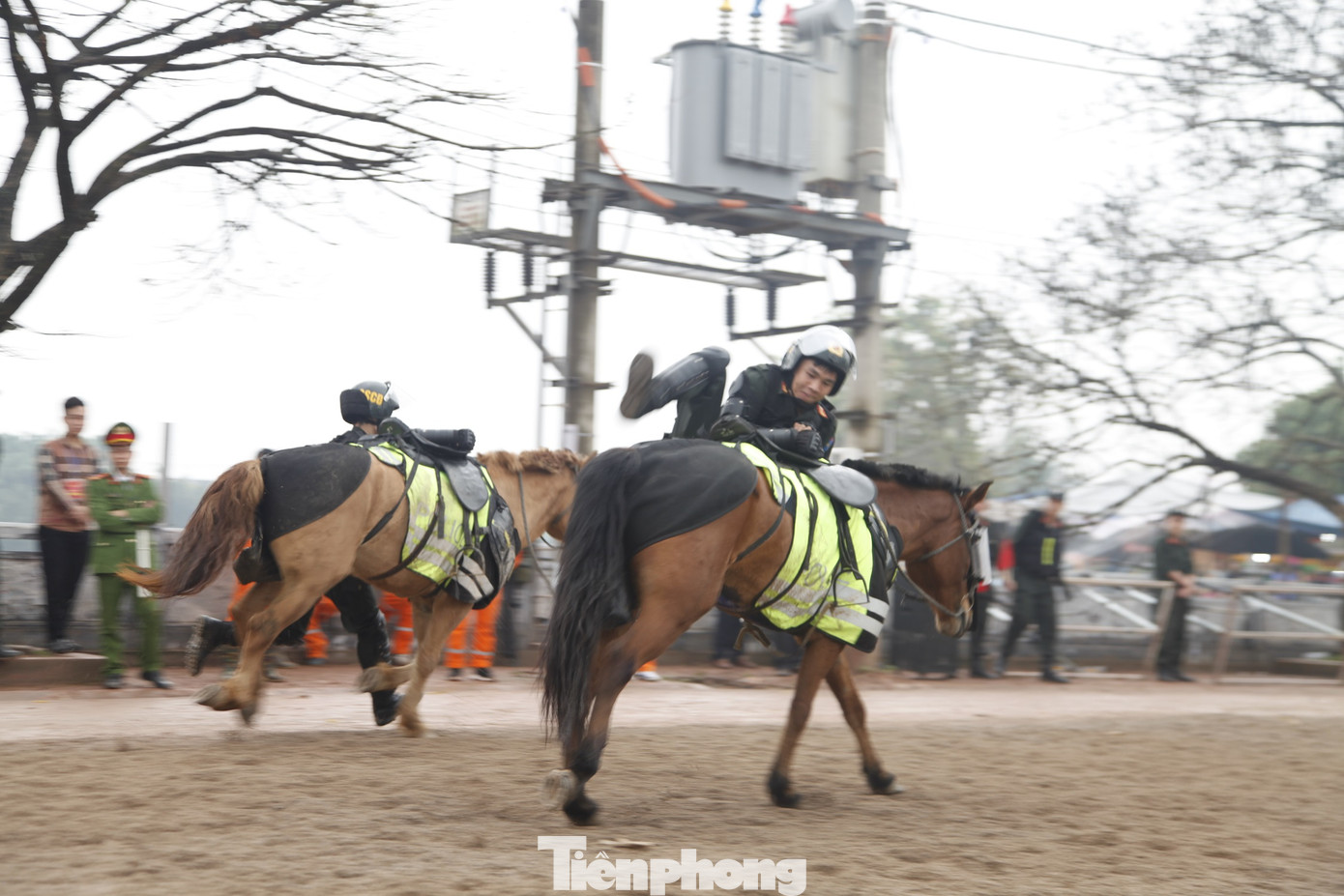 Ảnh: Nguyễn Thắng