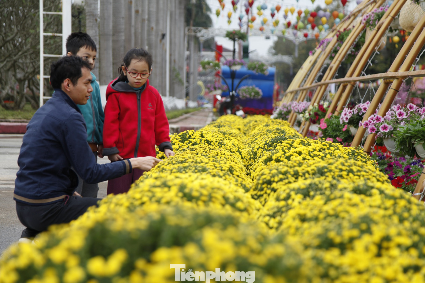 Người dân vui vẻ tham quan, du xuân tại đường hoa Tết. Ảnh: Nguyễn Thắng