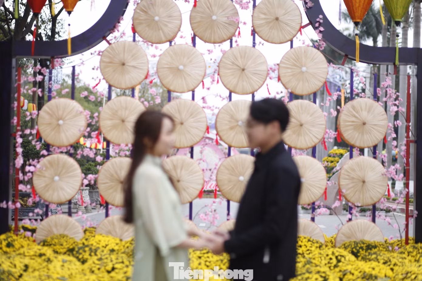 Ảnh: Nguyễn Thắng