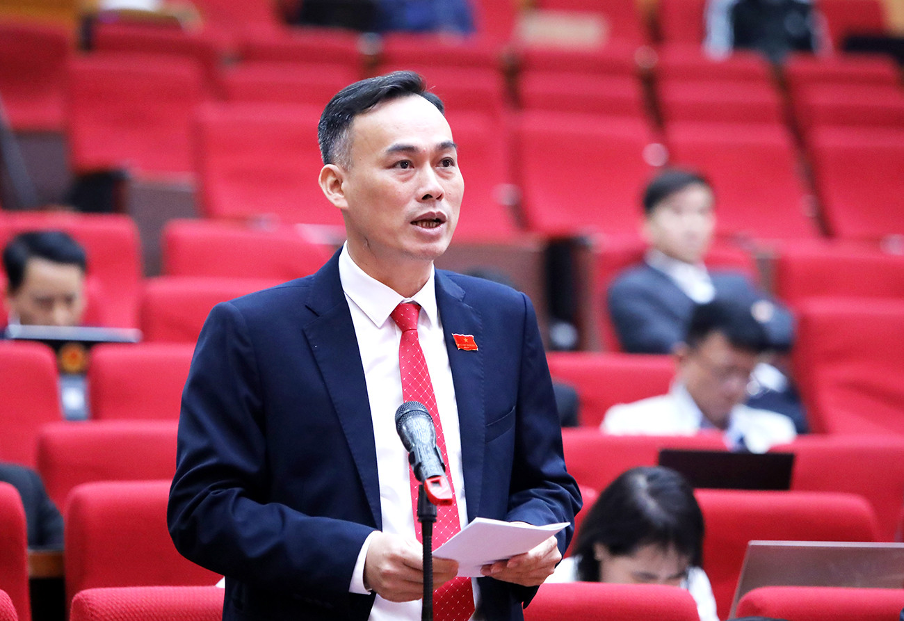 Đại biểu đặt câu hỏi Giám đốc Sở Kế hoạch và Đầu tư tỉnh Bắc Giang. Đại biểu đặt câu hỏi Giám đốc Sở Kế hoạch và Đầu tư tỉnh Bắc Giang.