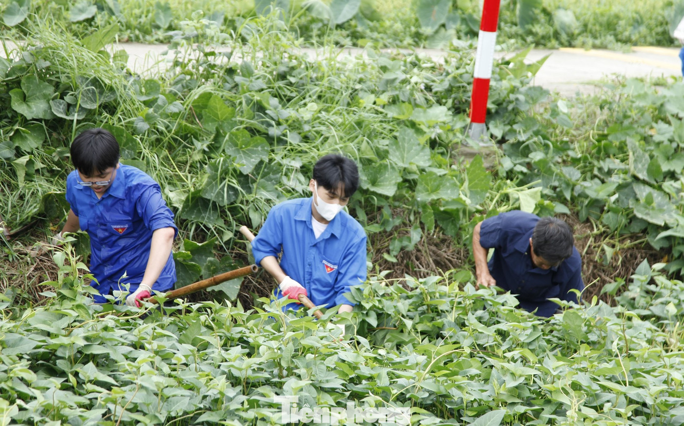 Chương trình có nhiều hoạt động hưởng ứng như nạo vét kênh mương, khám chữa bệnh miễn phí, trao tặng góc học tập cho học sinh khó khăn, trao tặng kinh phí 450 triệu đồng cho Huyện Đoàn Gia Bình thực hiện các công trình thanh niên. Ảnh: Nguyễn Thắng
