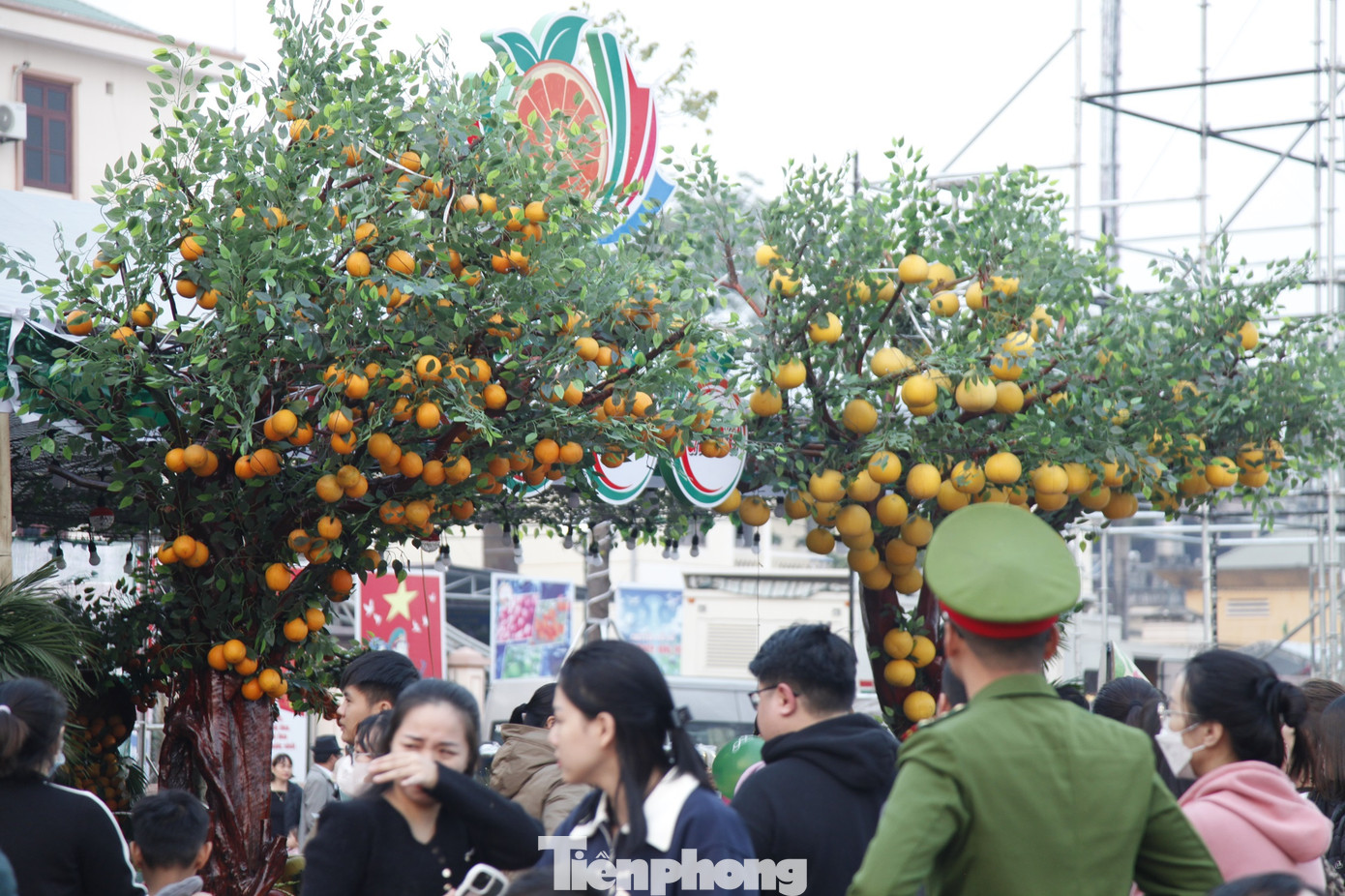Cây cam và bưởi được trang trí kỳ công tại hội chợ. Ảnh: Nguyễn Thắng.