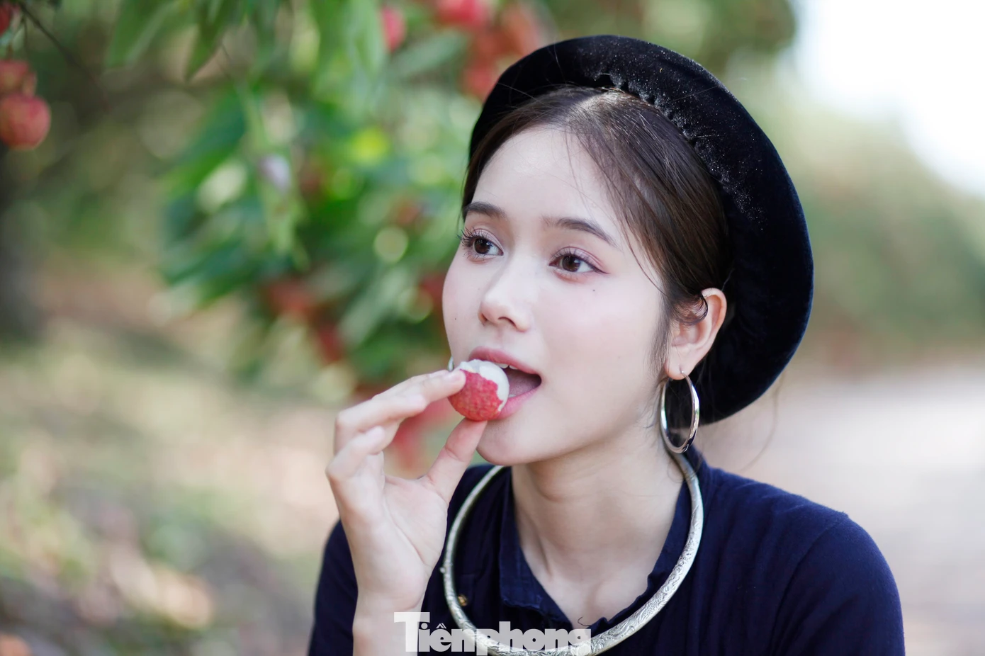 Đến tham quan vườn vải thiều ở Bắc Giang, các bạn trẻ còn được trực tiếp thưởng thức quả ngon đặc sản này tại vườn. Ảnh: Nguyễn Thắng