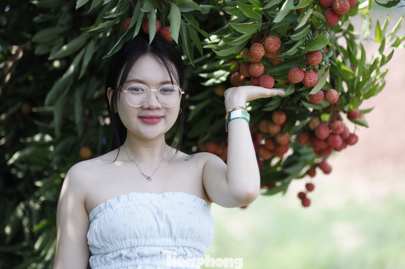 Thời điểm này, vải thiều ở tỉnh Bắc Giang đang vào chính vụ, với nhiều vườn vải đẹp để du khách đến trải nghiệm. Ảnh: Nguyễn Thắng