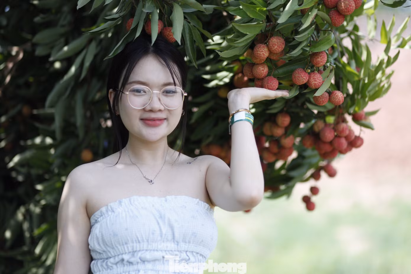 Thời điểm này, vải thiều ở tỉnh Bắc Giang đang vào chính vụ, với nhiều vườn vải đẹp để du khách đến trải nghiệm. Ảnh: Nguyễn Thắng