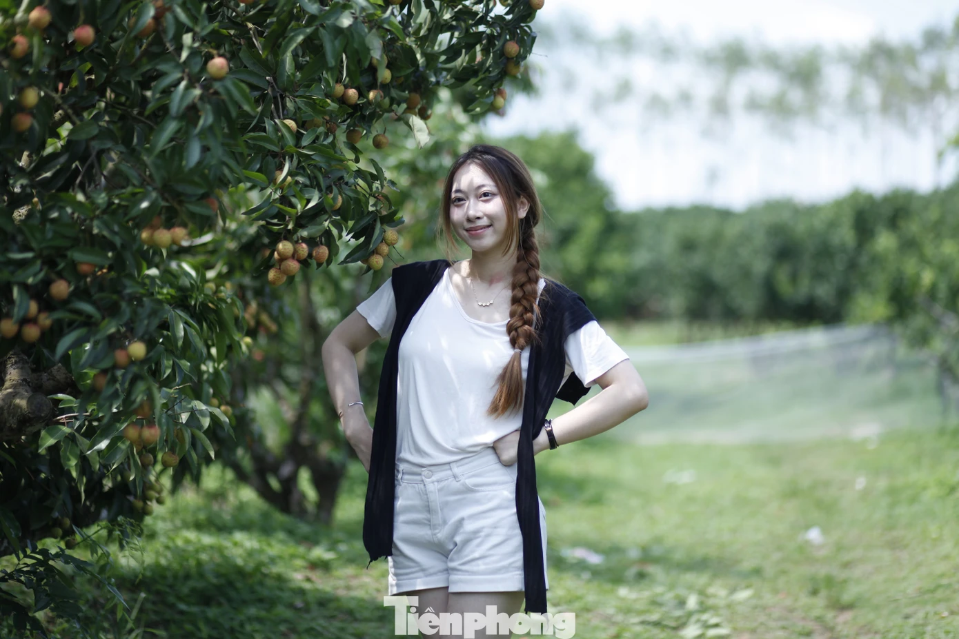 Một bạn trẻ ở Hà Nội thích thú chụp ảnh tại vườn vải thiều ở tỉnh Bắc Giang. Ảnh: Nguyễn Thắng