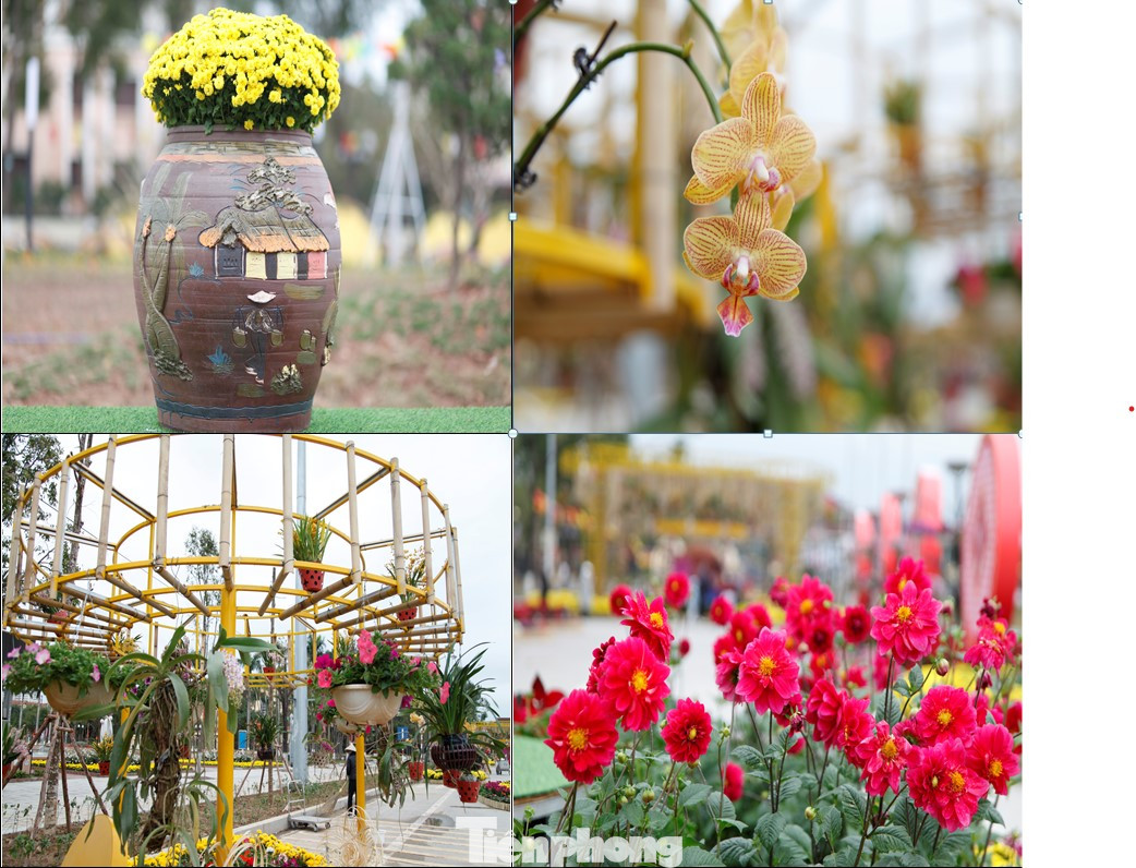 Đường hoa không chỉ là nơi khoe sắc, tỏa hương của hàng ngàn bông hoa mà còn là nơi hội tụ giá trị độc đáo, hiện đại, mang lại cảm giác gần gũi, đầm ấm, tạo không khí vui mừng đón Tết. Ảnh: Nguyễn Thắng