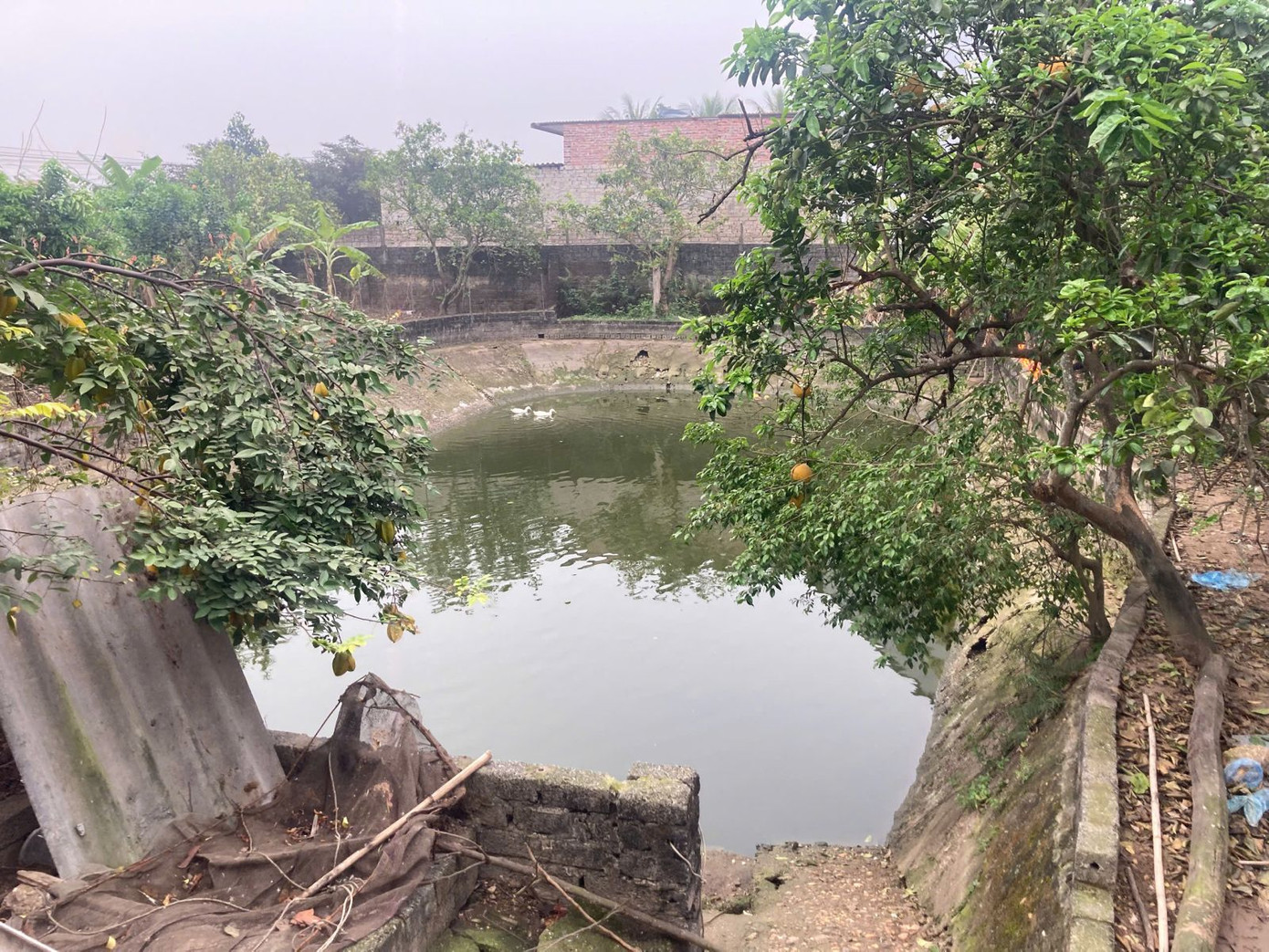 Hiện trường vụ việc.