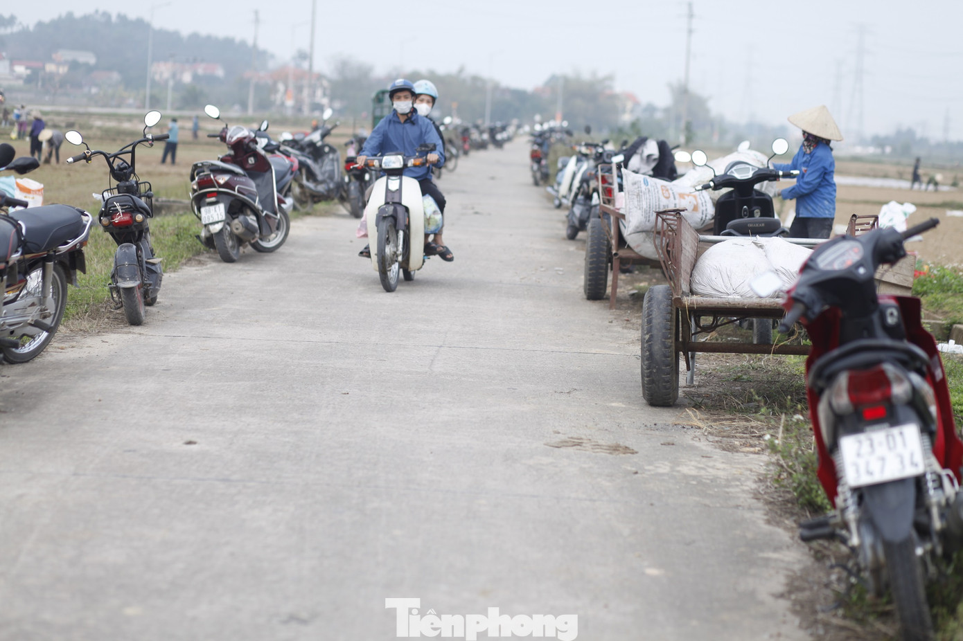 Xe máy của nông dân Bắc Giang đi làm ngày đầu năm để kín hai bên đường. Ảnh: Nguyễn Thắng.