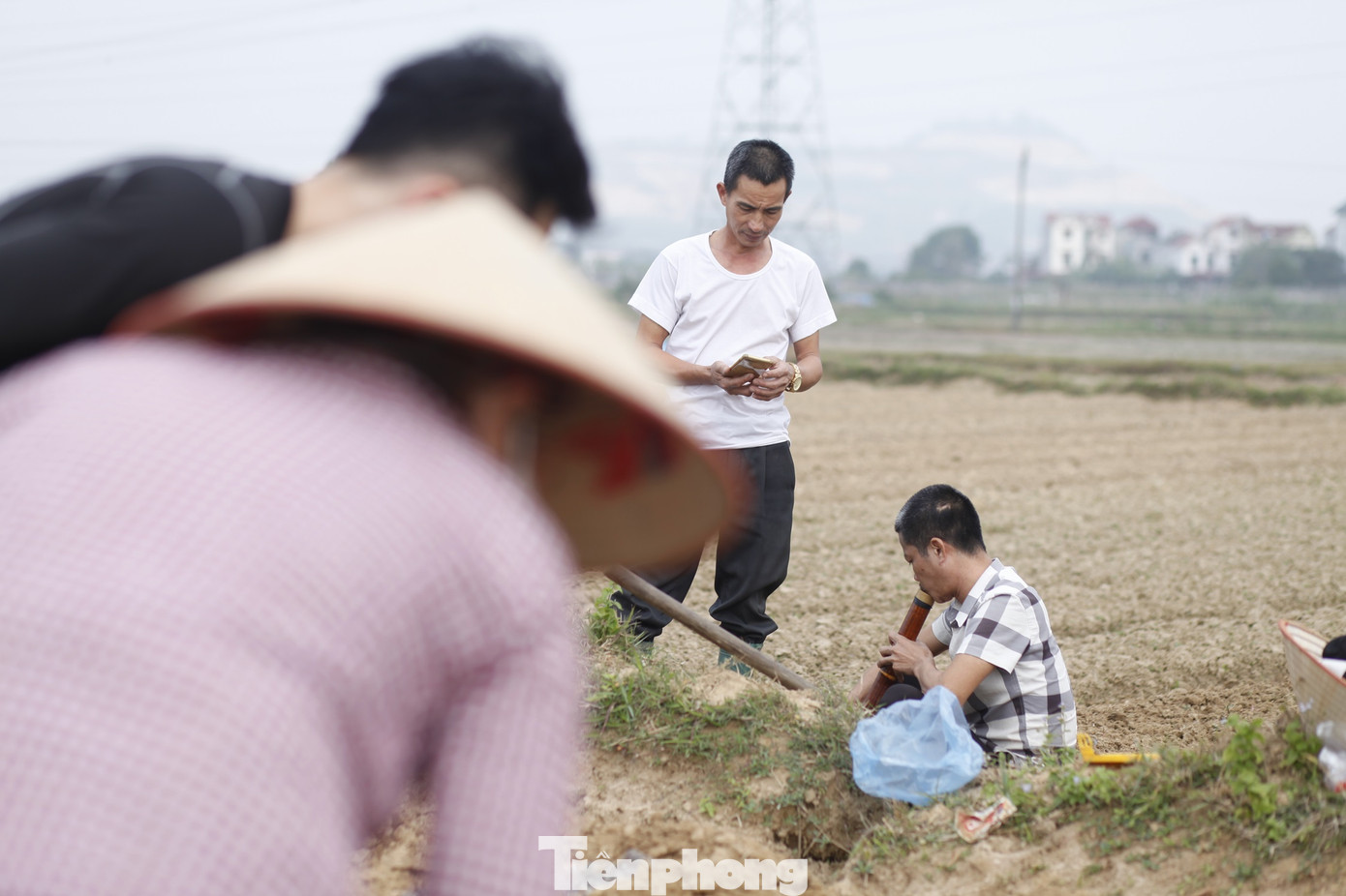 Một nông dân tranh thủ lúc giải lao hút thuốc lào trên cánh đồng. Ảnh: Nguyễn Thắng.
