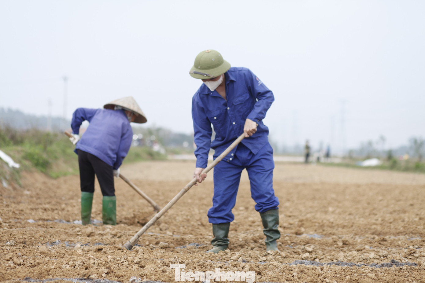 Ảnh: Nguyễn Thắng.