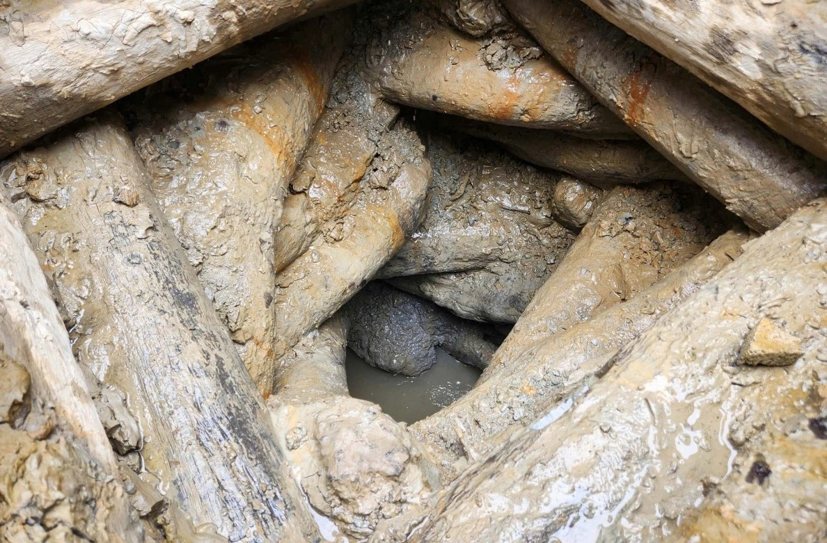 Giếng làng Hạc Lâm có gỗ xếp hình xoắn ốc. Giếng làng Hạc Lâm có gỗ xếp hình xoắn ốc.