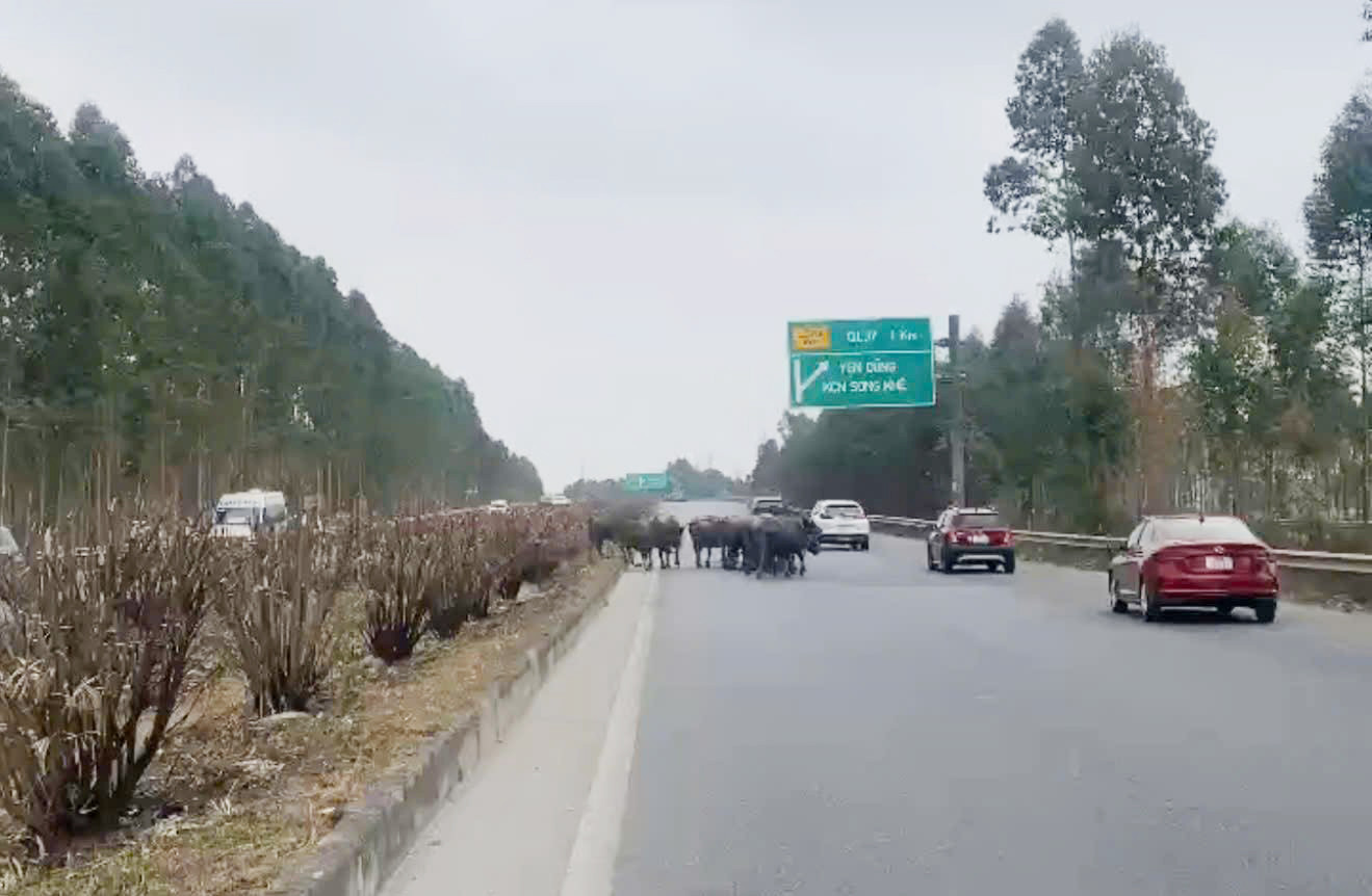 Hiện trường vụ việc. Hiện trường vụ việc.