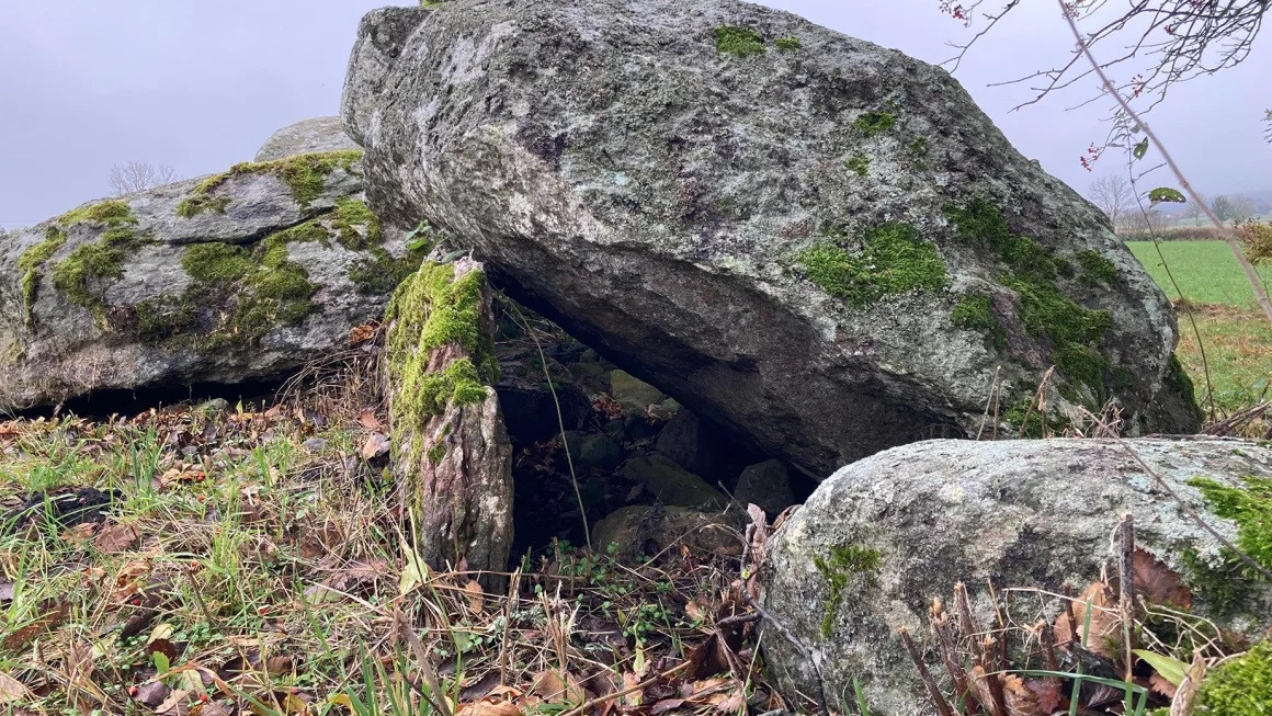 Những hài cốt được khai quật tại ngôi mộ thời đồ đá mới ở Karleby ở Falbygden, Thụy Điển, đã thu được một số mẫu ADN cổ đại được sử dụng trong nghiên cứu. (Ảnh: Frederik Seersholm) Những hài cốt được khai quật tại ngôi mộ thời đồ đá mới ở Karleby ở Falbygden, Thụy Điển, đã thu được một số mẫu ADN cổ đại được sử dụng trong nghiên cứu. (Ảnh: Frederik Seersholm)