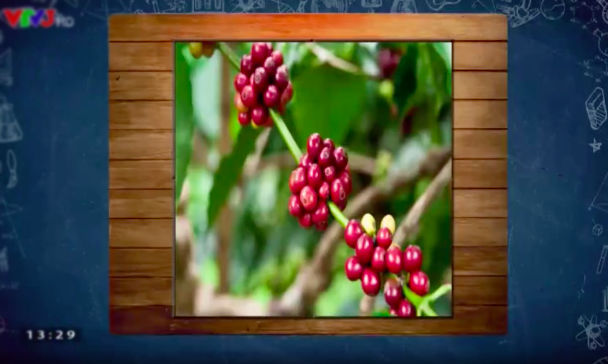 10X Hà Nội bứt phá với luật thi mới, khởi động như mơ với Olympia mùa thứ 20 ảnh 4