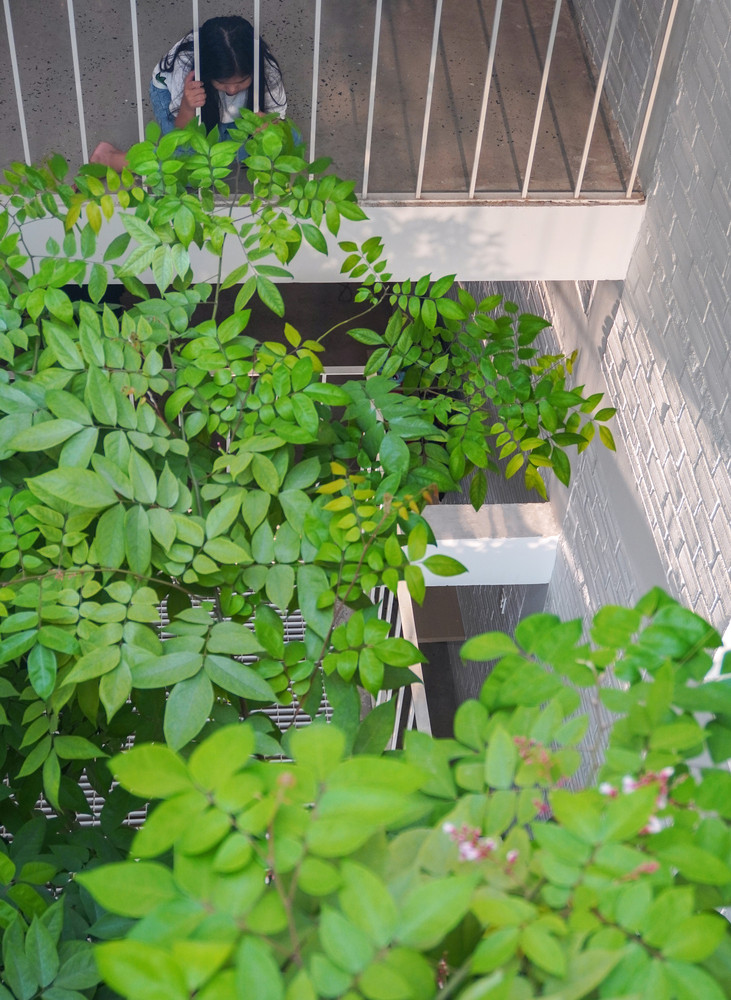 Khu vực sân chơi tràn ngập thiên nhiên như ánh sáng, cây cối và gió.