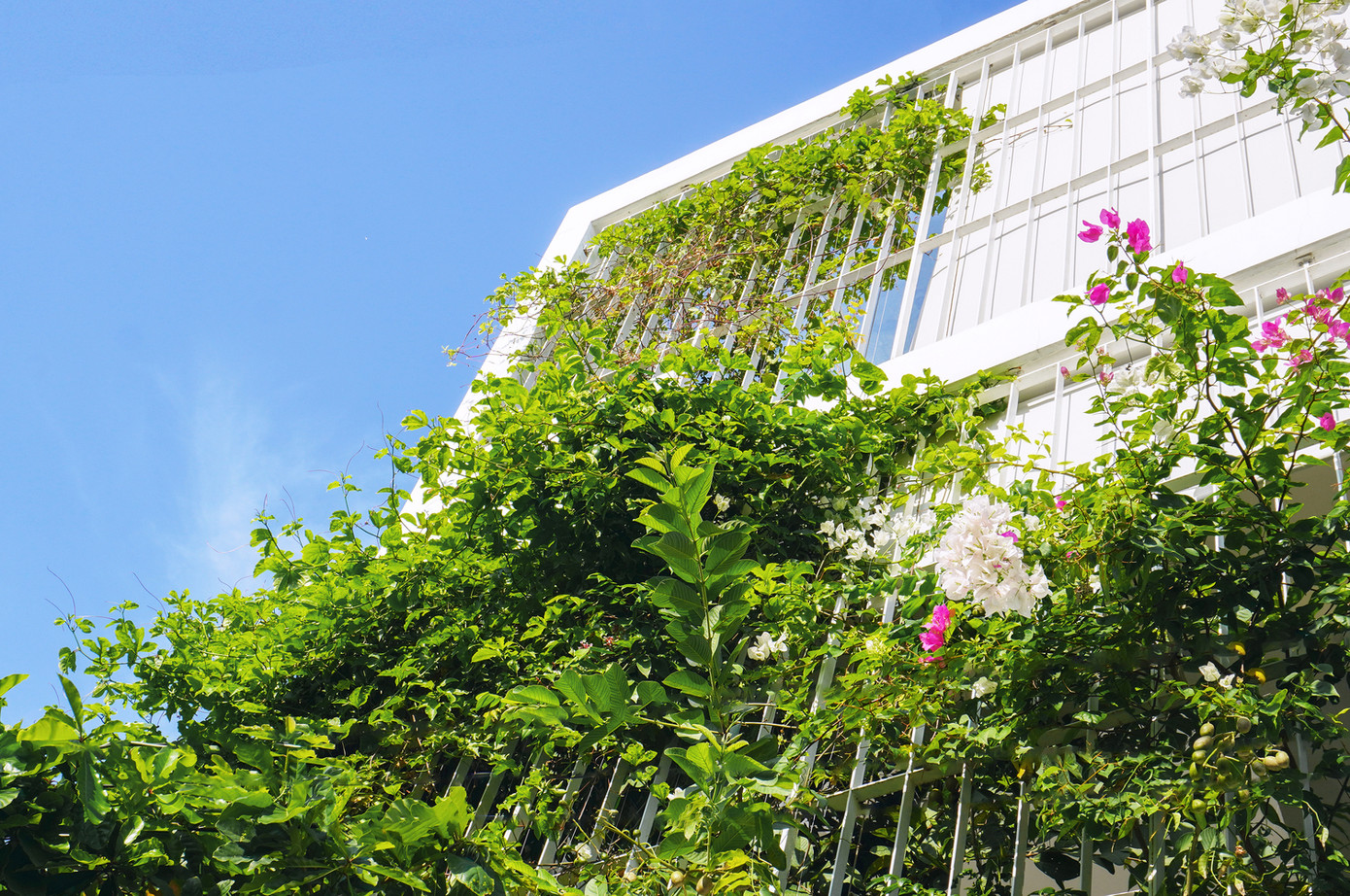 Ngôi nhà này ra đời nhằm mang đến không gian sống chất lượng cho một gia đình trẻ tại đô thị đông đúc như ở TP HCM với không gian vui chơi, học tập cho con cái, nơi làm việc của bố mẹ, vườn rau xanh, thông gió tự nhiên.