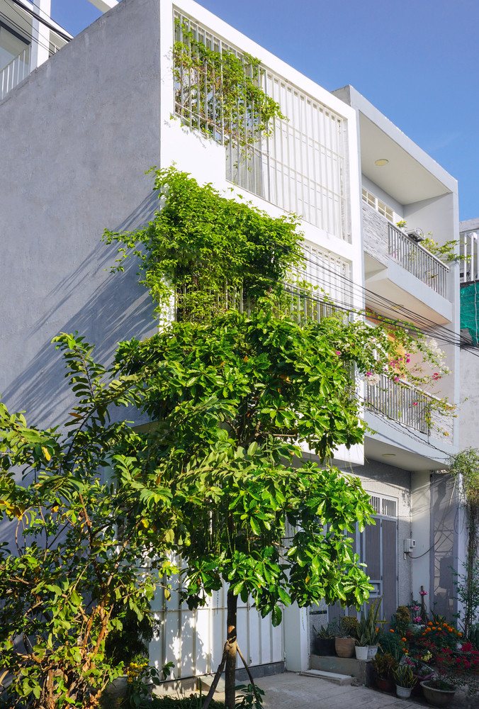 Kiến trúc sư sử dụng phương pháp nâng hạ tầng tạo nên các tầng so le và mọi góc của ngôi nhà đều được kết nối view với cây xanh lớn.