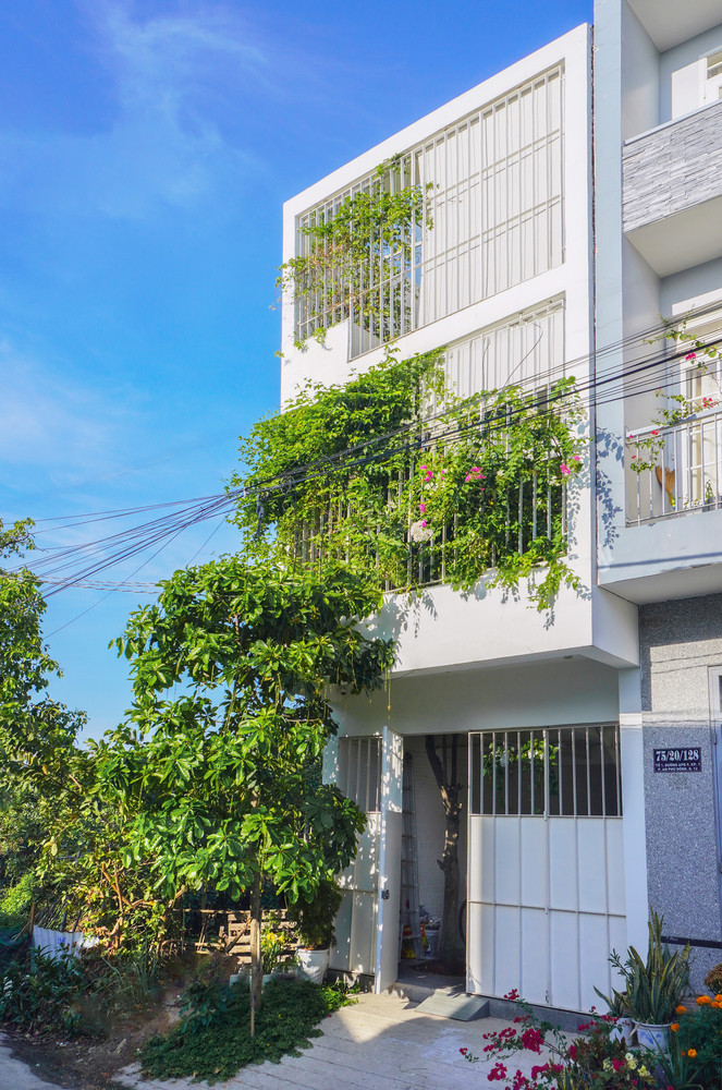 Kiến trúc sư sử dụng phương pháp nâng hạ tầng tạo nên các tầng so le và mọi góc của ngôi nhà đều được kết nối view với cây xanh lớn.