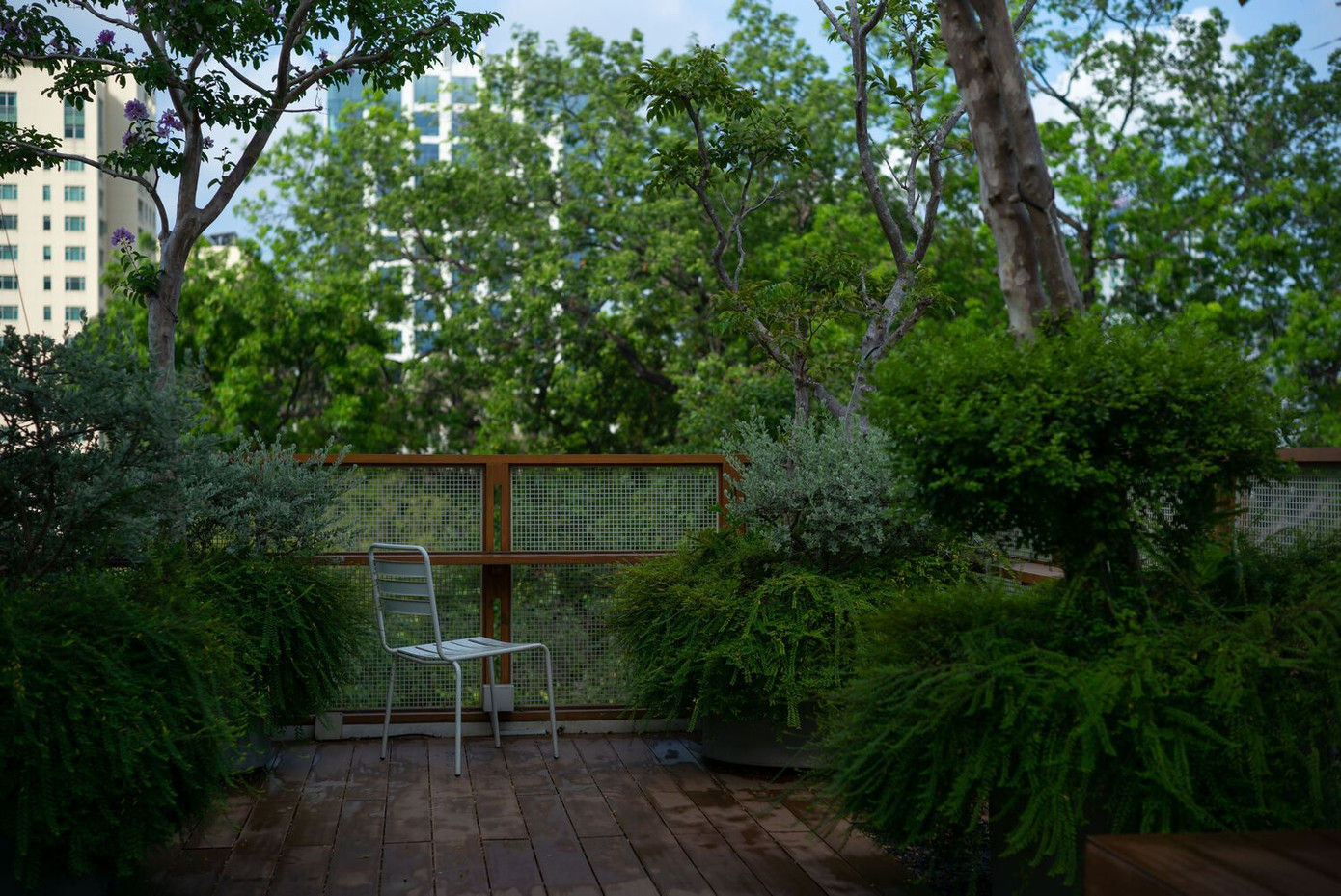 Thông qua dự án, KTS mong muốn cải thiện chất lượng cuộc sống cho những không gian hạn chế ở các thành phố lớn và nhỏ, đồng thời tăng cường sự tương tác giữa con người và thiên nhiên. Thông qua dự án, KTS mong muốn cải thiện chất lượng cuộc sống cho những không gian hạn chế ở các thành phố lớn và nhỏ, đồng thời tăng cường sự tương tác giữa con người và thiên nhiên.