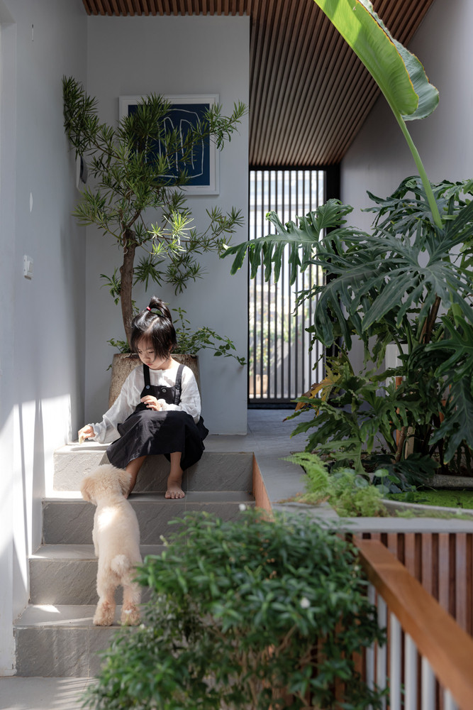 Tâm nhĩ và không gian bên ngoài được nối với nhau bằng một cây cầu thép cắt rời cũng như mái che phía trên lối vào. Ngồi ở vị trí này có thể tương tác với cây cối mọc trong sân. Tâm nhĩ và không gian bên ngoài được nối với nhau bằng một cây cầu thép cắt rời cũng như mái che phía trên lối vào. Ngồi ở vị trí này có thể tương tác với cây cối mọc trong sân.