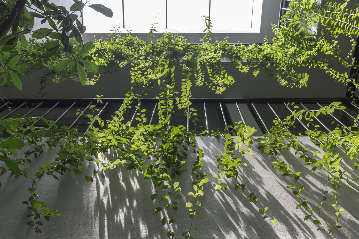 Ngôi nhà sử dụng phương án thông gió tự nhiên thông qua mặt tiền cùng với ba khoảng trống cho phép ngôi nhà tiết kiệm rất nhiều năng lượng trong điều kiện khí hậu khắc nghiệt của miền Bắc Việt Nam.