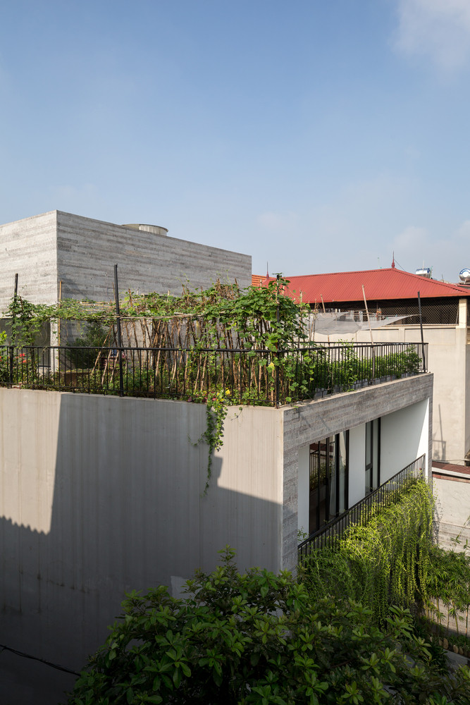 Góc méo được tận dụng tối đa để tạo ra những khoảng trống lấy sáng và kết hợp với các không gian xanh.