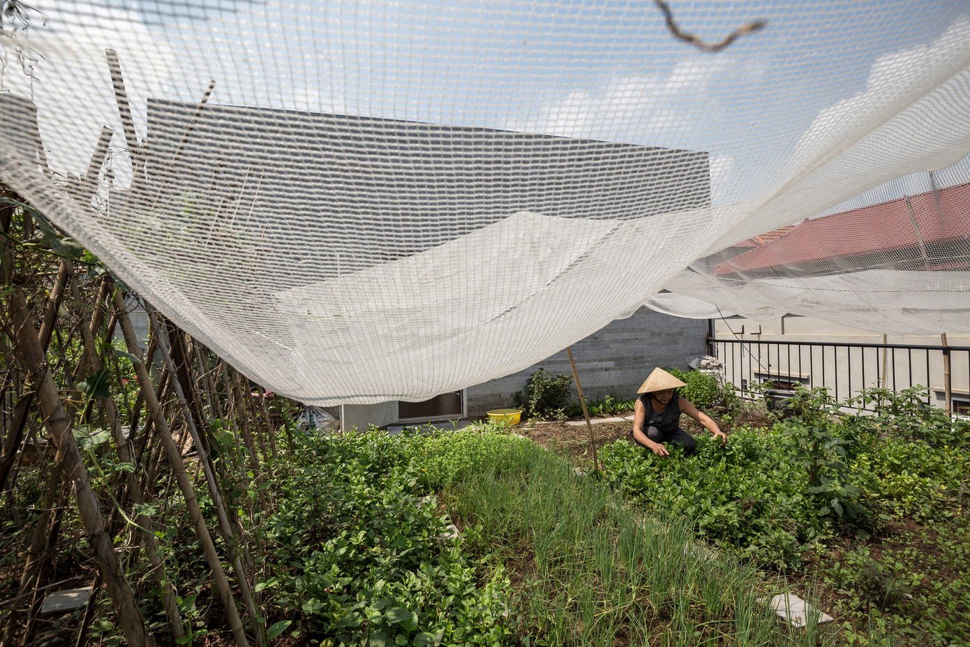 Thế hệ đầu tiên trong nhà là những người già đến từ nông dân, vì vậy các tập quán nông nghiệp bắt buộc phải được thiết lập. Thế hệ thứ hai đang ở độ tuổi lao động nên cần không khí thoải mái hơn với thiên nhiên. Thế hệ nhỏ nhất thì luôn cần được tiếp xúc với thiên nhiên để được khám phá các hoạt động hàng ngày.