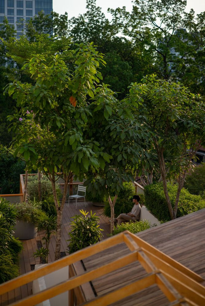 Ngôi nhà này nằm trên trục đường chính hiếm hoi còn lưu giữ được những hàng cây lâu năm nhưng mật độ giao thông lại khá lớn ở TP HCM. Do đó, thay vì đẩy mặt trước của tòa nhà ra bên ngoài, KTS đặt nó về phía sau và tạo ra một mái hiên lớn phù hợp với những người sống ở vùng khí hậu nhiệt đới. Ngôi nhà này nằm trên trục đường chính hiếm hoi còn lưu giữ được những hàng cây lâu năm nhưng mật độ giao thông lại khá lớn ở TP HCM. Do đó, thay vì đẩy mặt trước của tòa nhà ra bên ngoài, KTS đặt nó về phía sau và tạo ra một mái hiên lớn phù hợp với những người sống ở vùng khí hậu nhiệt đới.