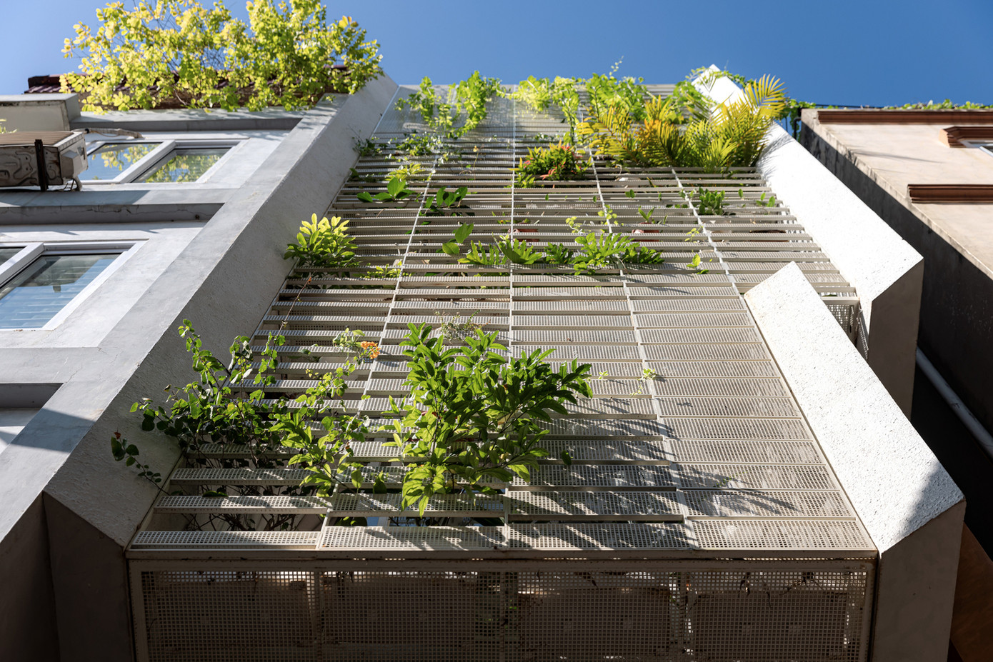 Toàn bộ cây xanh ở các tầng trên được sử dụng làm lớp vỏ ngoài của ngôi nhà. Toàn bộ cây xanh ở các tầng trên được sử dụng làm lớp vỏ ngoài của ngôi nhà.