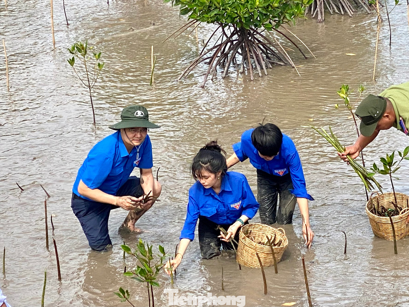 Bí thư thứ nhất T. Ư Đoàn Bùi Quang Huy cùng các bạn trẻ trồng đước