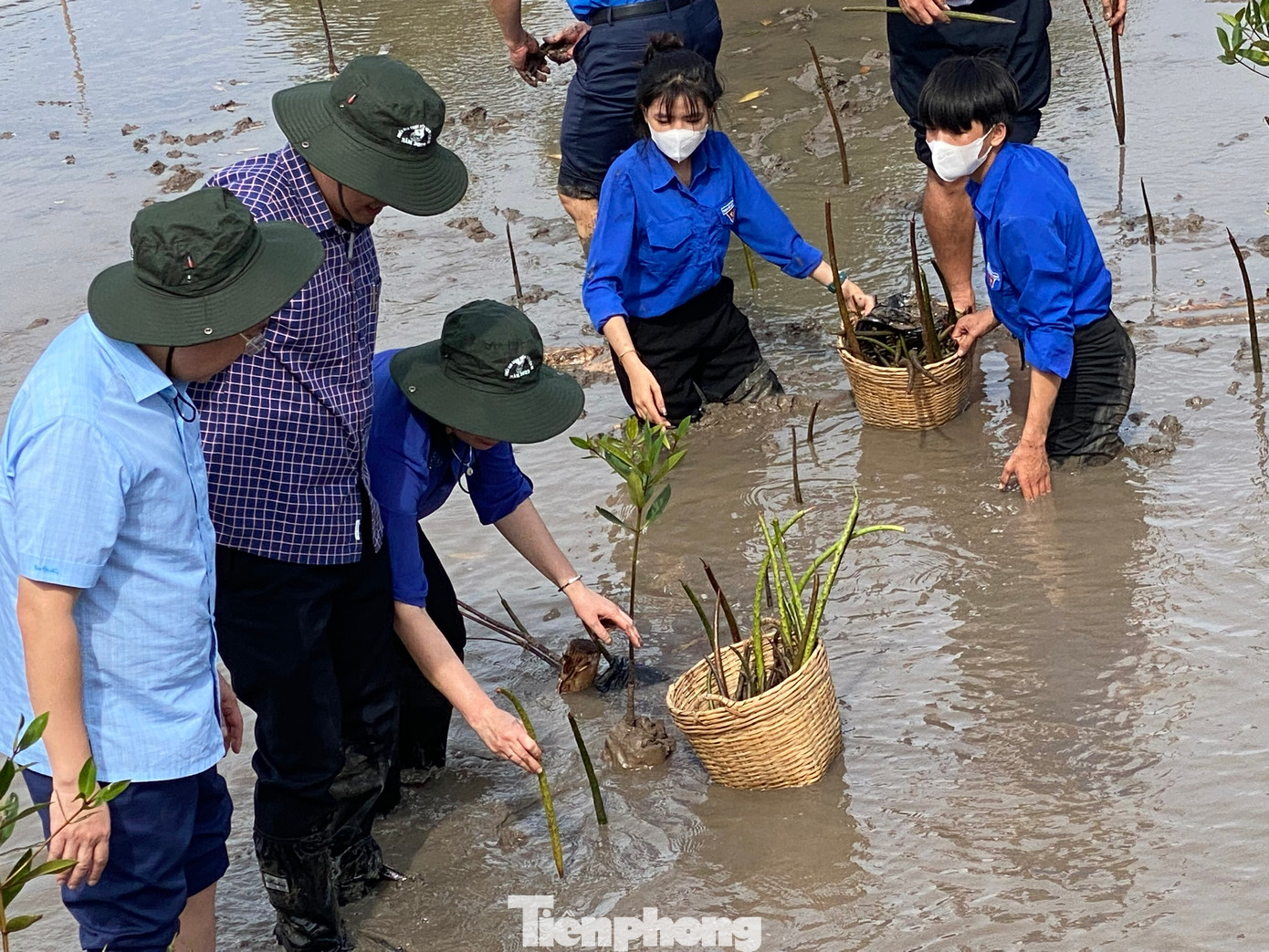 Phó Chủ tịch nước Võ Thị Ánh Xuân trồng mầm đước