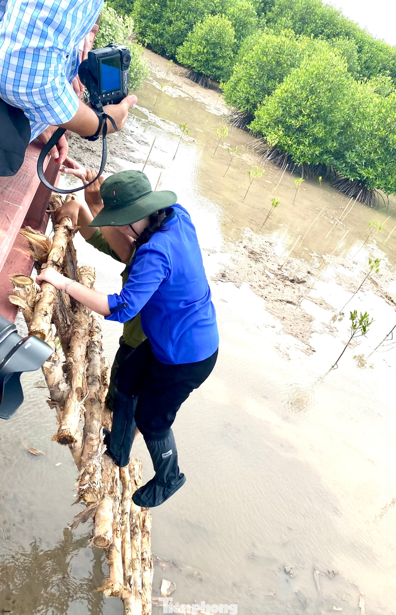 Phó Chủ tịch nước Võ Thị Ánh Xuân xuống thang để xuống bãi sình trồng cây.