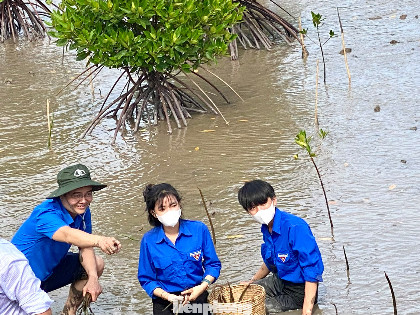 Hàng trăm bạn trẻ tham gia trồng cây trên bãi sình.