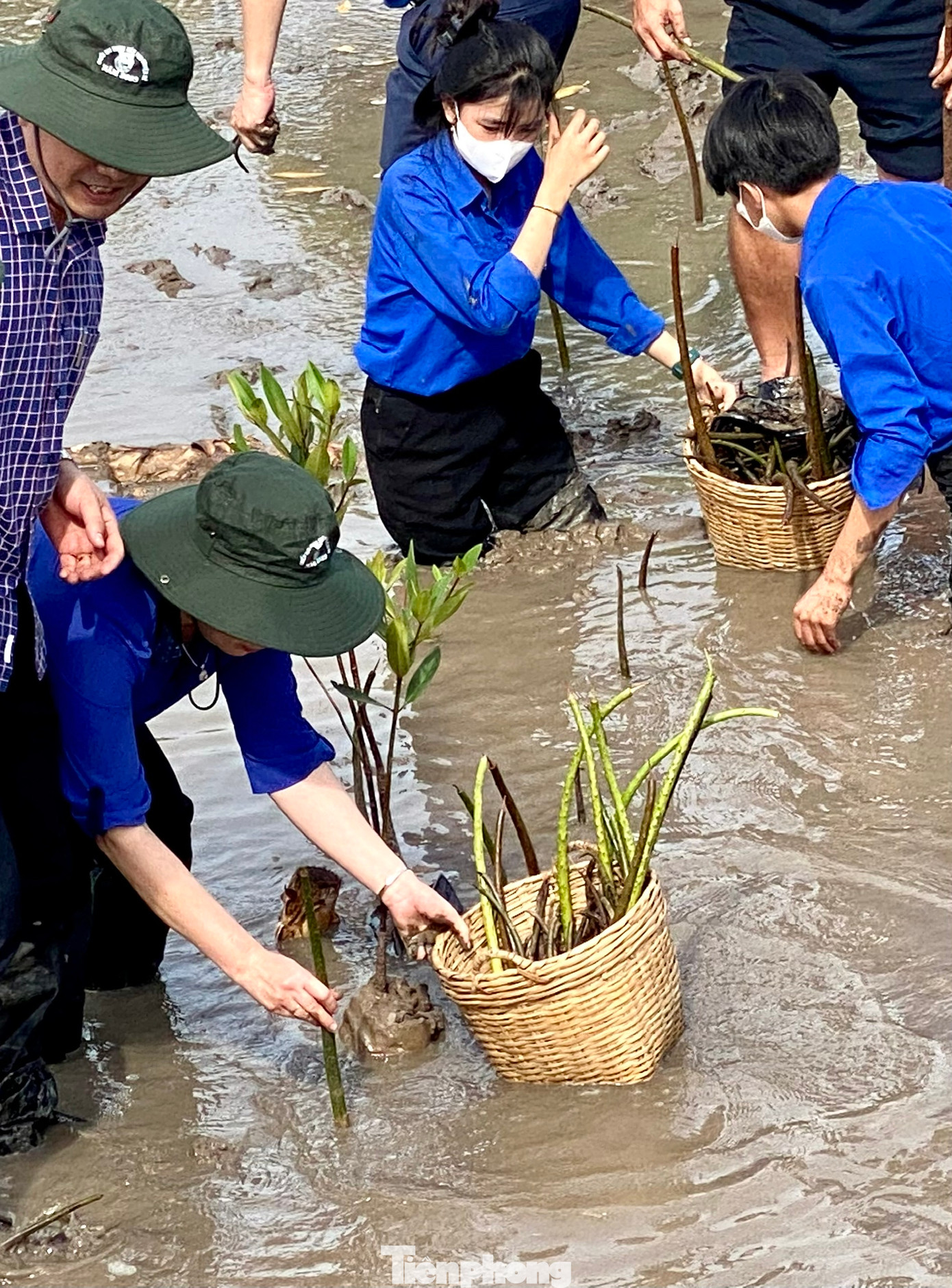 Phó Chủ tịch nước Võ Thị Ánh Xuân trồng mầm đước