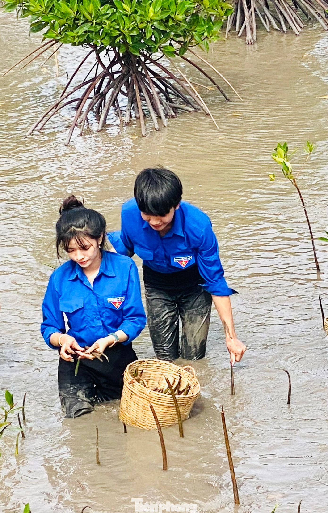 “Chân đạp bùn không sợ những loài sên” (Tố Hữu)