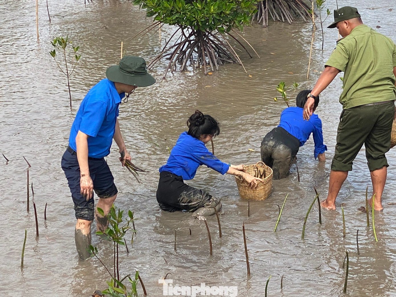 “Chân đạp bùn không sợ những loài sên” (Tố Hữu)
