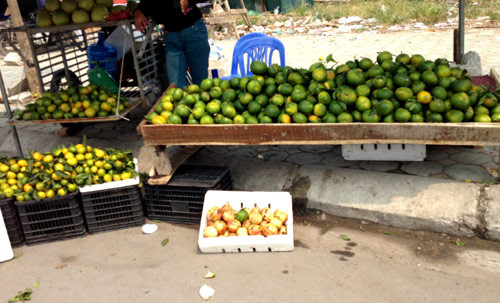 Mùa cam Hà Giang chính hiệu, theo những người buôn hoa quả, là khoảng tháng 11 dương lịch tới Tết âm lịch. Và một trong những đặc điểm để phân biệt cam Trung Quốc và Việt Nam, là cam Trung Quốc vỏ mịn, láng và không có hạt. Mùa cam Hà Giang chính hiệu, theo những người buôn hoa quả, là khoảng tháng 11 dương lịch tới Tết âm lịch. Và một trong những đặc điểm để phân biệt cam Trung Quốc và Việt Nam, là cam Trung Quốc vỏ mịn, láng và không có hạt