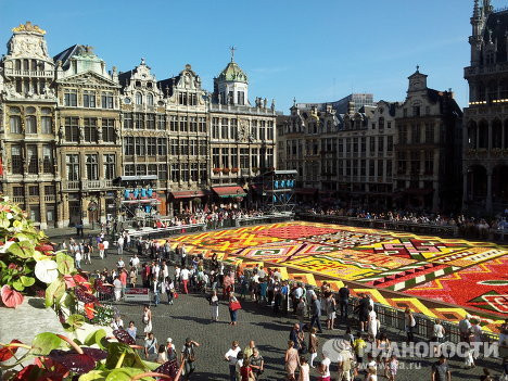 Tấm thảm lớn nhìn từ trên cao xuống 