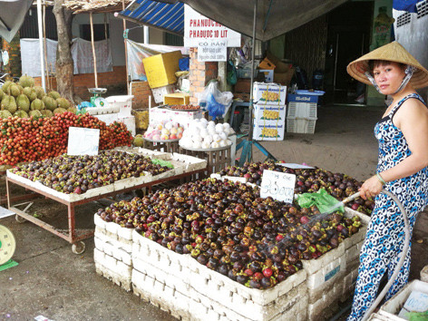 Sạp trái cây vỉa hè của vợ chồng anh Vũ. ẢNH: SÁU NGHỆ