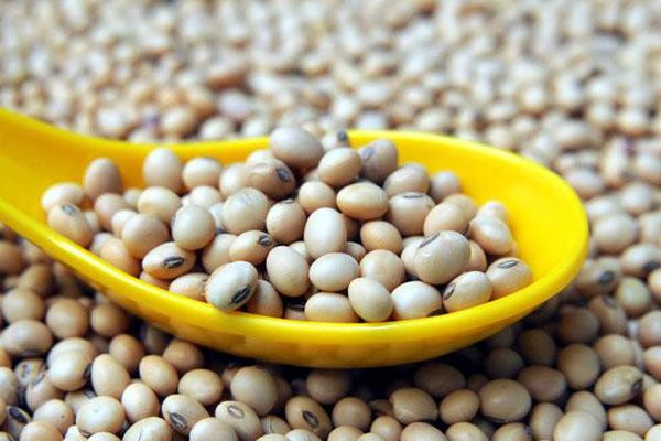 Đậu nành - 'Siêu thực phẩm' dành cho sức khỏe ảnh 2