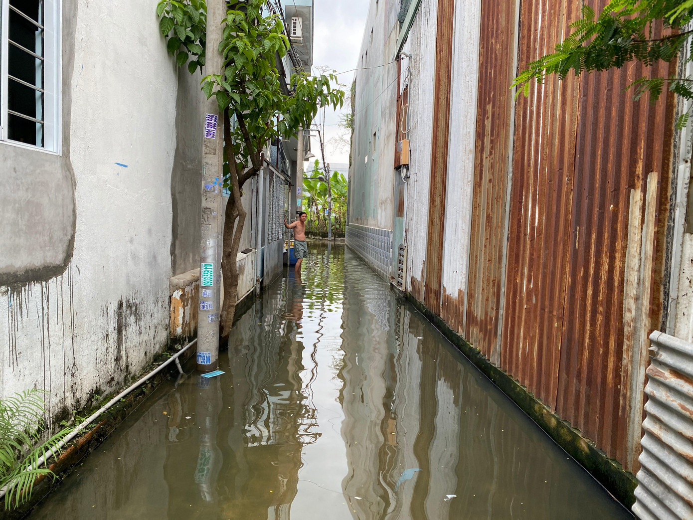 Ông Nguyễn Văn Thành (50 tuổi, ngụ hẻm 5, đường 41, phường Hiệp Bình Chánh) cho biết: "Suốt cả tuần qua ngày nào cũng mưa, trong khi đó cống ngoài đường hẻm bên cạnh bị rác bịt kín. Nước không thoát được nên con hẻm bị ngập cả tuần nay".
