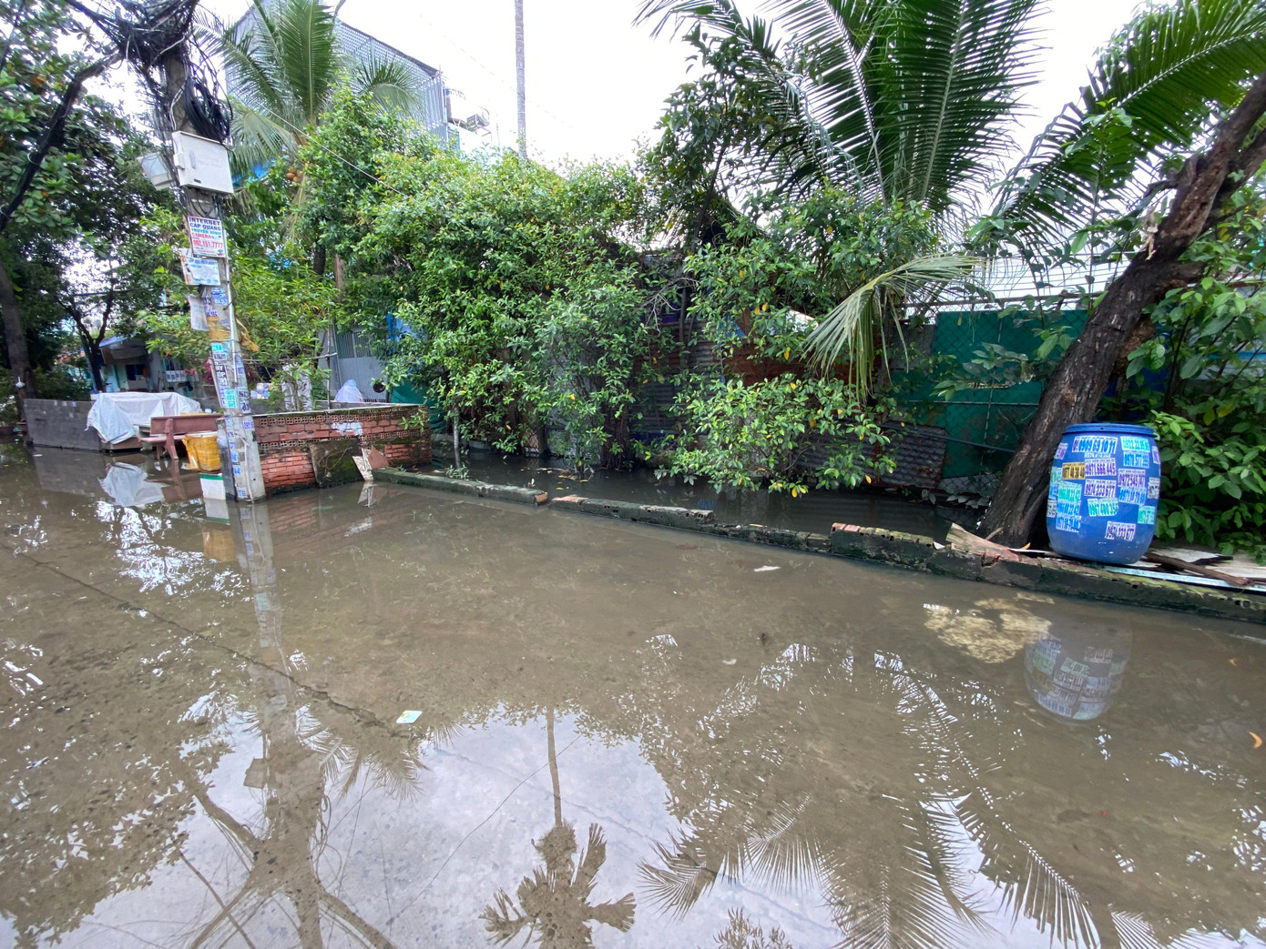 Cống không thể thoát nước khiến cả khu dân cư bị ngập úng suốt tuần qua.