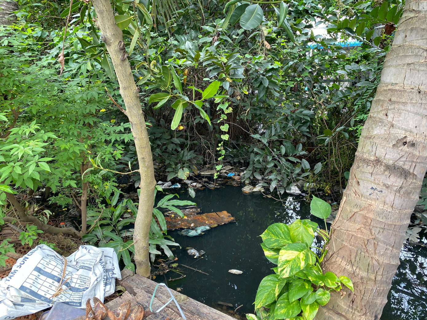 Người dân bị nước ngập hôi thối bủa vây suốt tuần qua ảnh 12