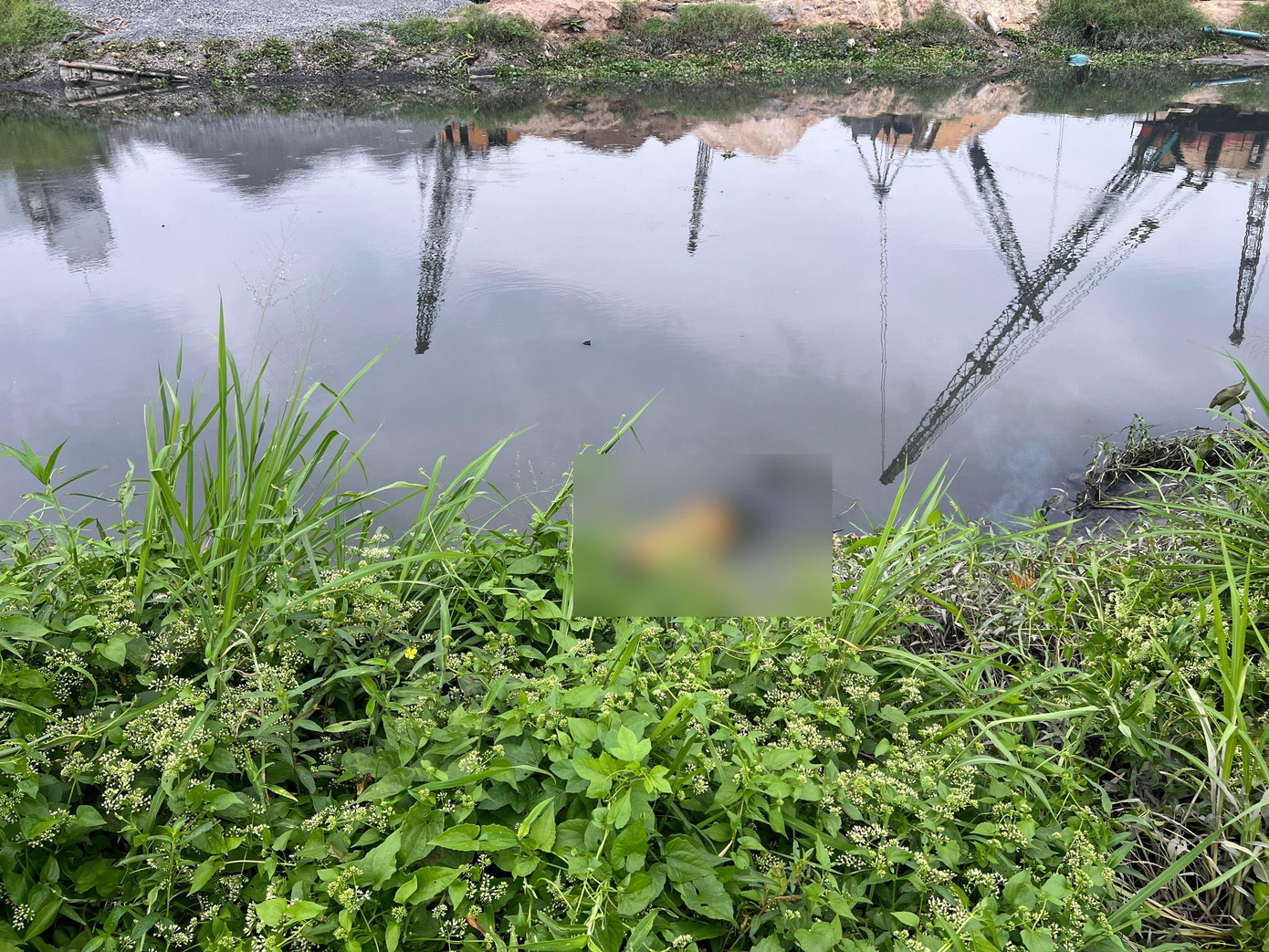 Vị trí phát hiện thi thể nạn nhân.