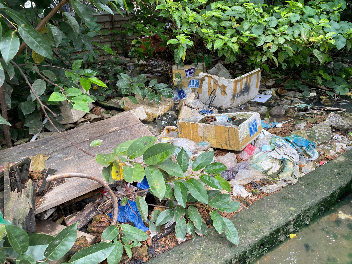 Người dân bị nước ngập hôi thối bủa vây suốt tuần qua ảnh 14