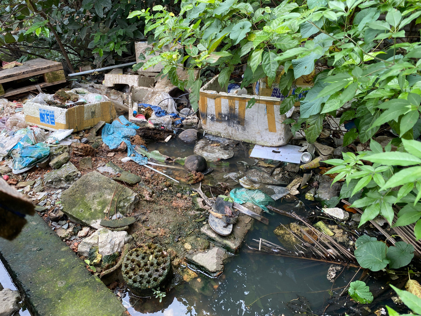 Người dân bị nước ngập hôi thối bủa vây suốt tuần qua ảnh 11