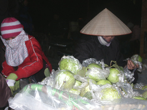 Người mua chọn ổi Kim Thành với giá 10 nghìn đồng/kg.