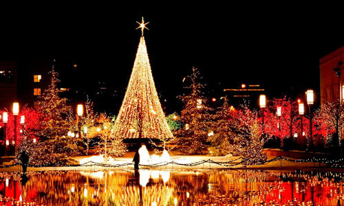 Cây thông Noel được trang hoàng ở nhiều nơi trên thế giới. Ảnh: Londonreview. Cây thông Noel được trang hoàng ở nhiều nơi trên thế giới. Ảnh: Londonreview